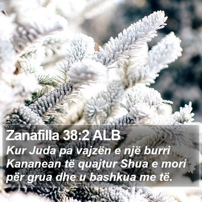 Zanafilla 38:2 ALB Bible Verse Image