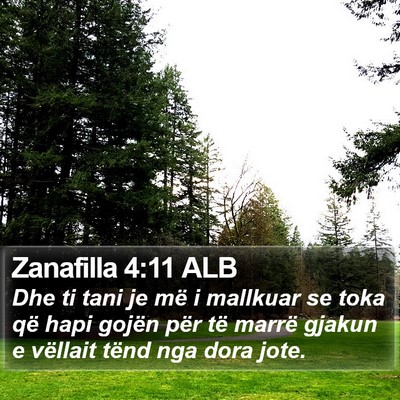 Zanafilla 4:11 ALB Bible Verse Image