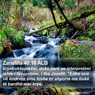 Zanafilla 40:16 ALB Bible Verse Image