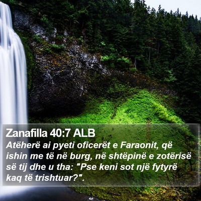 Zanafilla 40:7 ALB Bible Verse Image