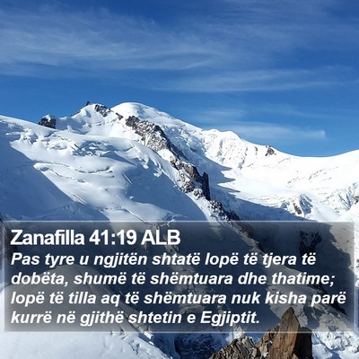 Zanafilla 41:19 ALB Bible Verse Image