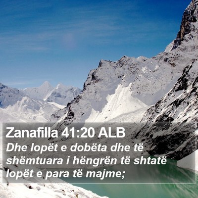 Zanafilla 41:20 ALB Bible Verse Image