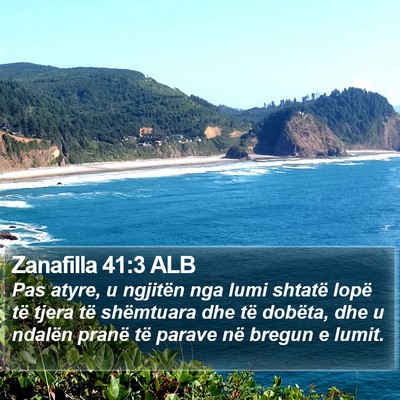 Zanafilla 41:3 ALB Bible Verse Image