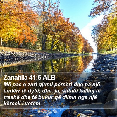 Zanafilla 41:5 ALB Bible Verse Image