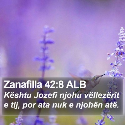 Zanafilla 42:8 ALB Bible Verse Image