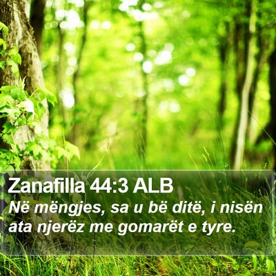 Zanafilla 44:3 ALB Bible Verse Image