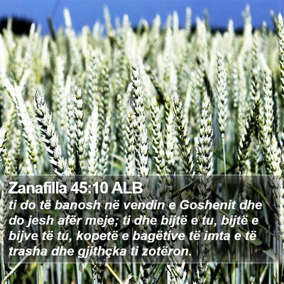 Zanafilla 45:10 ALB Bible Verse Image