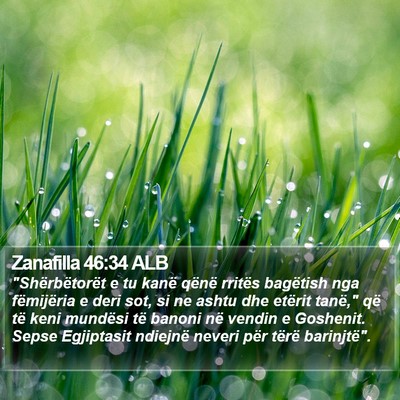 Zanafilla 46:34 ALB Bible Verse Image