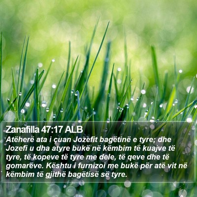 Zanafilla 47:17 ALB Bible Verse Image