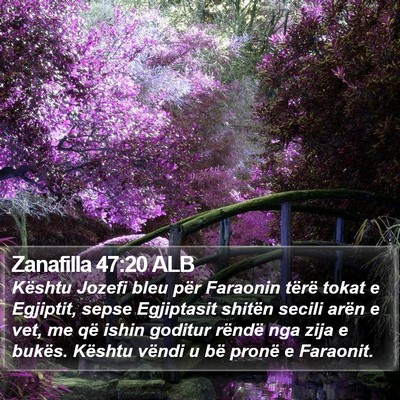 Zanafilla 47:20 ALB Bible Verse Image