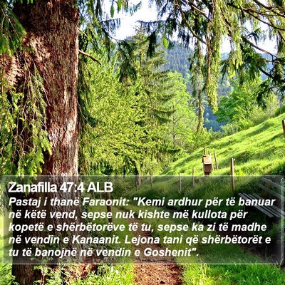 Zanafilla 47:4 ALB Bible Verse Image
