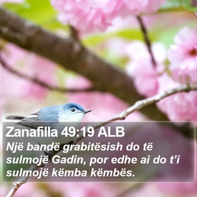 Zanafilla 49:19 ALB Bible Verse Image
