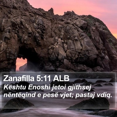 Zanafilla 5:11 ALB Bible Verse Image