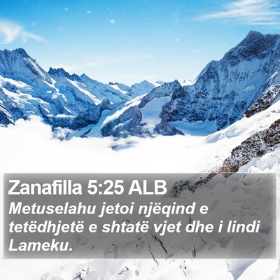 Zanafilla 5:25 ALB Bible Verse Image