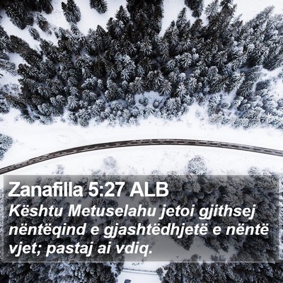 Zanafilla 5:27 ALB Bible Verse Image