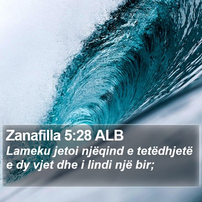 Zanafilla 5:28 ALB Bible Verse Image