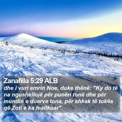 Zanafilla 5:29 ALB Bible Verse Image