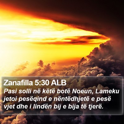 Zanafilla 5:30 ALB Bible Verse Image