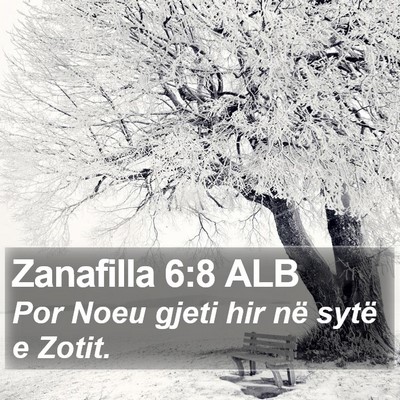 Zanafilla 6:8 ALB Bible Verse Image