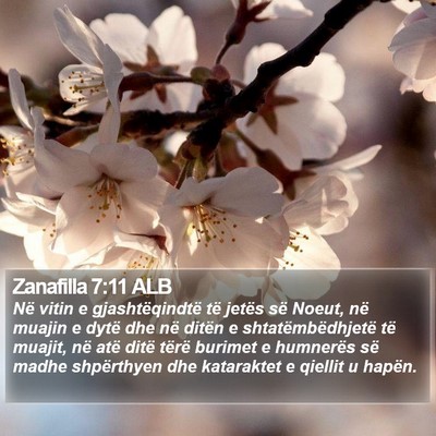 Zanafilla 7:11 ALB Bible Verse Image