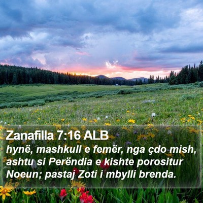 Zanafilla 7:16 ALB Bible Verse Image