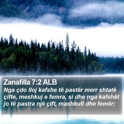 Zanafilla 7:2 ALB Bible Verse Image