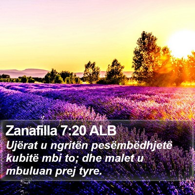Zanafilla 7:20 ALB Bible Verse Image