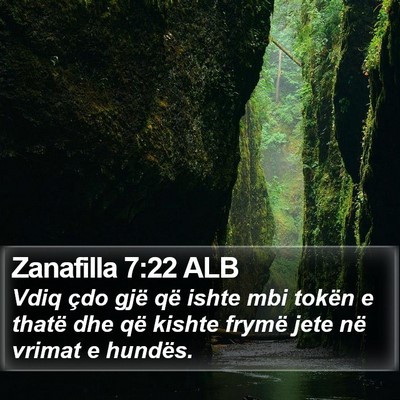Zanafilla 7:22 ALB Bible Verse Image
