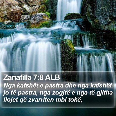 Zanafilla 7:8 ALB Bible Verse Image