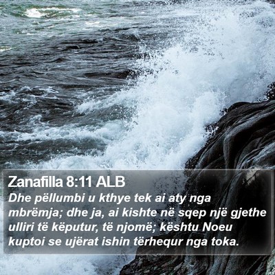Zanafilla 8:11 ALB Bible Verse Image
