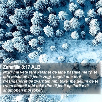 Zanafilla 8:17 ALB Bible Verse Image