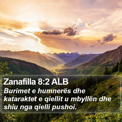 Zanafilla 8:2 ALB Bible Verse Image