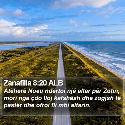 Zanafilla 8:20 ALB Bible Verse Image