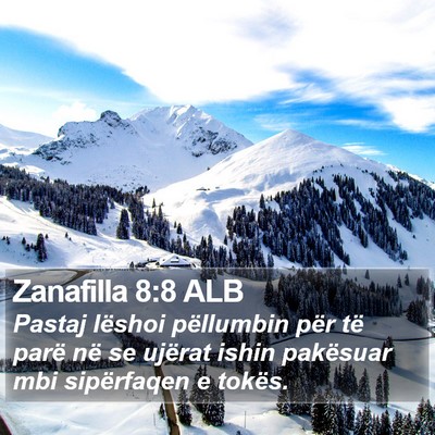 Zanafilla 8:8 ALB Bible Verse Image