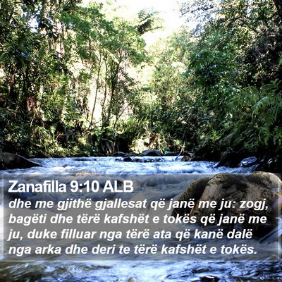 Zanafilla 9:10 ALB Bible Verse Image