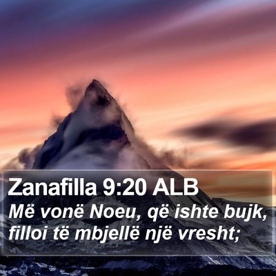 Zanafilla 9:20 ALB Bible Verse Image