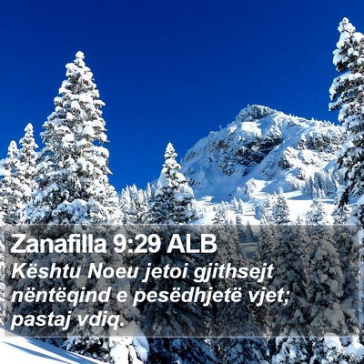 Zanafilla 9:29 ALB Bible Verse Image