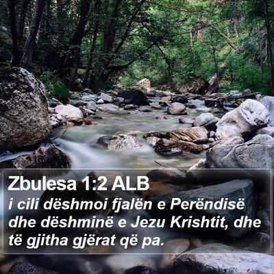 Zbulesa 1:2 ALB Bible Verse Image