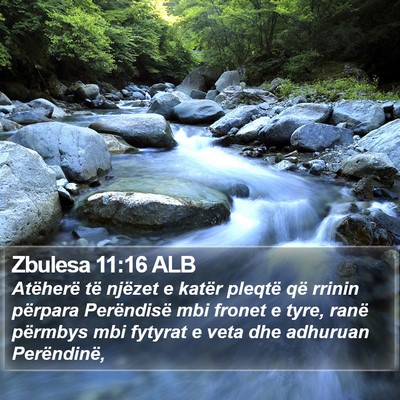Zbulesa 11:16 ALB Bible Verse Image