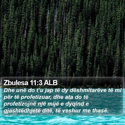 Zbulesa 11:3 ALB Bible Verse Image