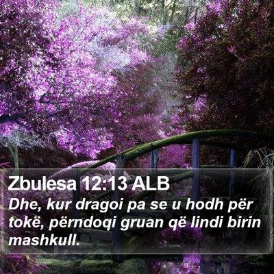 Zbulesa 12:13 ALB Bible Verse Image