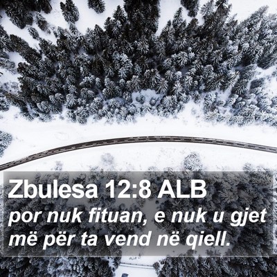 Zbulesa 12:8 ALB Bible Verse Image