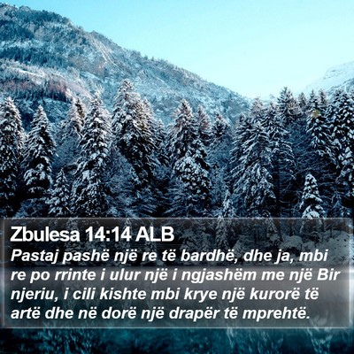 Zbulesa 14:14 ALB Bible Verse Image