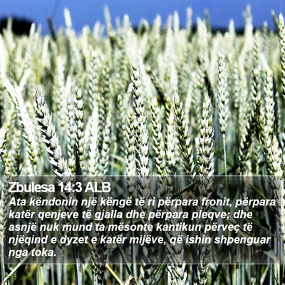 Zbulesa 14:3 ALB Bible Verse Image