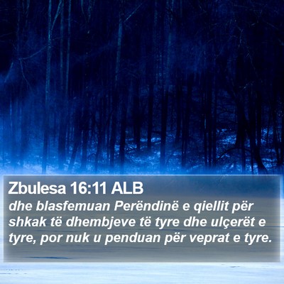 Zbulesa 16:11 ALB Bible Verse Image