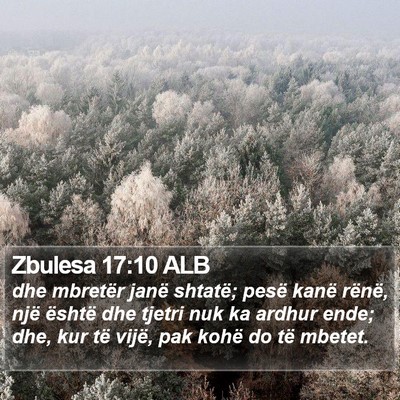Zbulesa 17:10 ALB Bible Verse Image