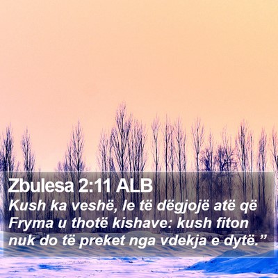 Zbulesa 2:11 ALB Bible Verse Image