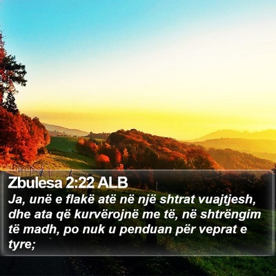 Zbulesa 2:22 ALB Bible Verse Image