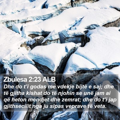 Zbulesa 2:23 ALB Bible Verse Image