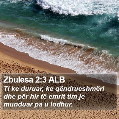 Zbulesa 2:3 ALB Bible Verse Image